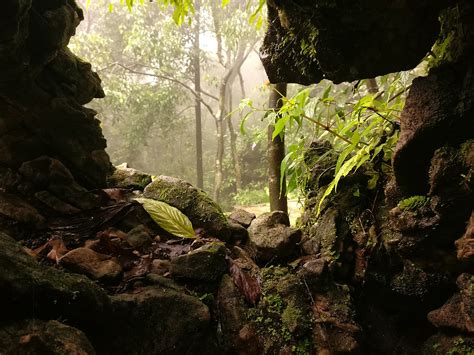 Meghalaya The abode of clouds - Treks and Trails India