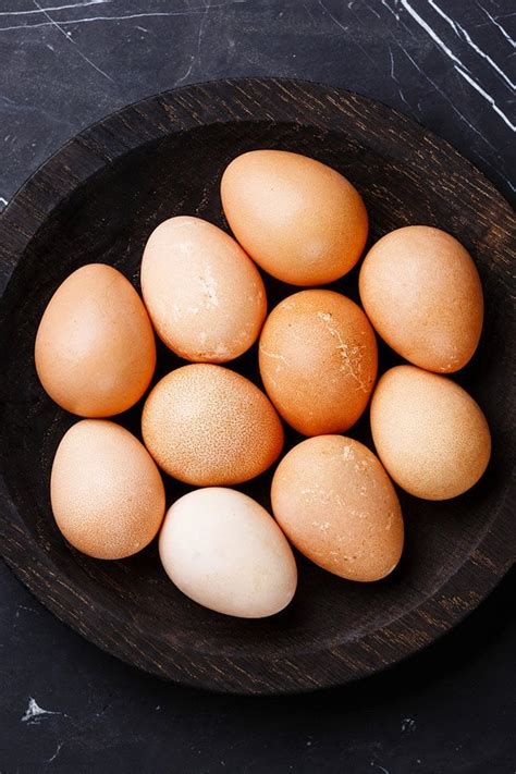 Guinea Fowl Eggs - What You Need to Know - Lady Lee's Home