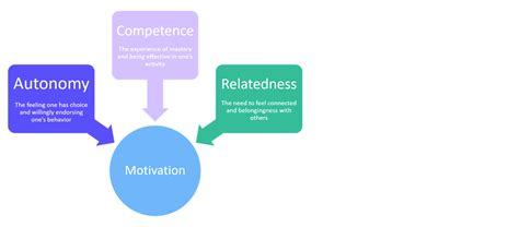 SDT | Self-Determination Theory by Richard Ryan,Edward Deci