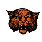 Wink Wildcats Football - scorebooklive.com