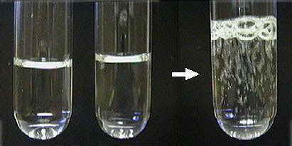 A gas can also be formed when a solid is added to a solution.