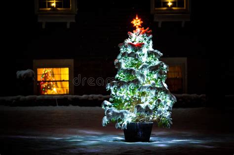 Lighted Christmas Tree at Night Stock Image - Image of decoration ...