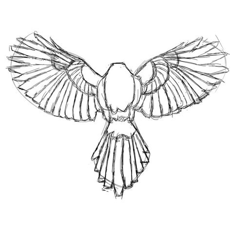 Bird Wing Drawing at GetDrawings | Free download