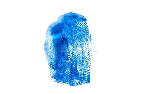 Fingerprint Texture in Blue Paint on White Isolated Background Stock Image - Image of human ...