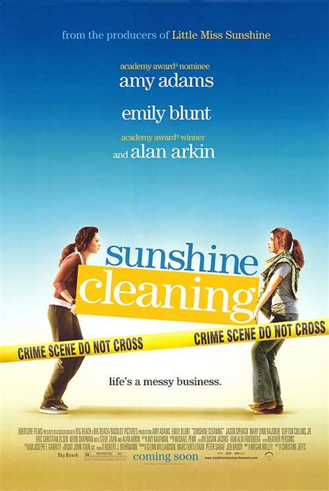 Sunshine Cleaning