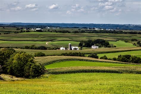 Free Images : landscape, nature, grass, marsh, farm, lawn, meadow ...