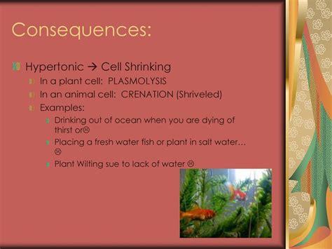 Passive Transport. - ppt download