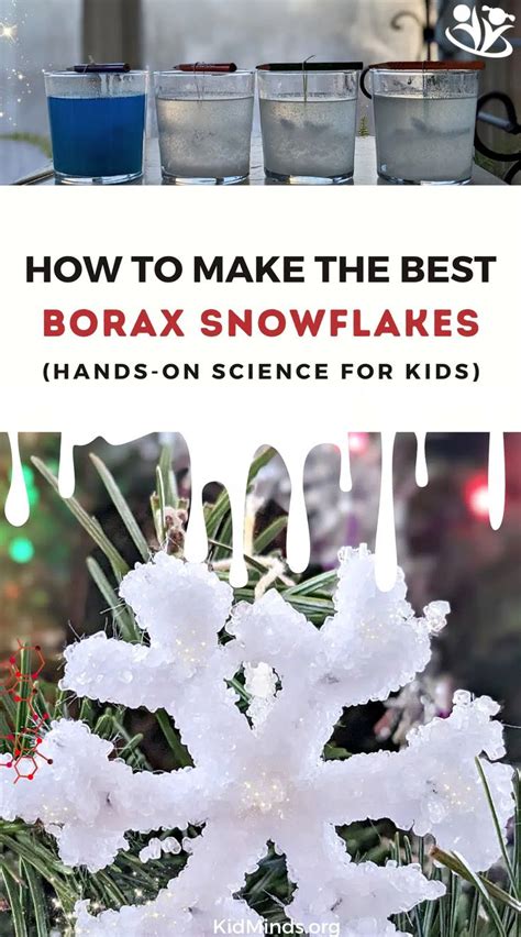 Make Crystal Snowflakes from Borax - Easy Science Experiment for Kids