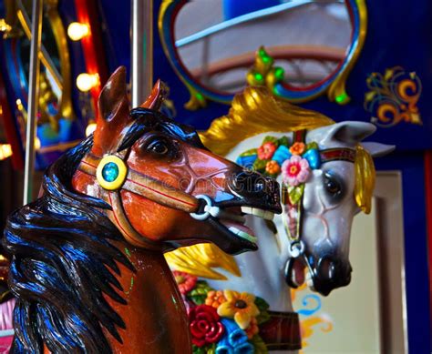 Carousel horses stock photo. Image of horse, horses, closeup - 1090352