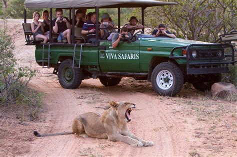 Viva Safaris - #1 Affordable Kruger Park safaris | Great value-for-money