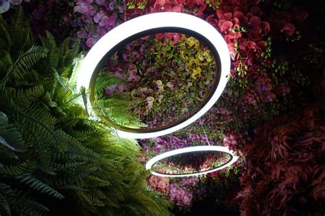 LED Circle Light Frame on the Garden. Modern Garden Concept Stock Image - Image of night, floral ...