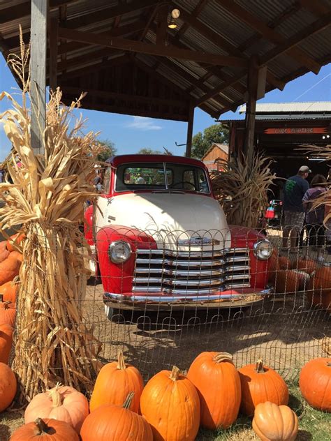 YesterLand Farm - 34 Photos & 11 Reviews - Pumpkin Patches - 15410 I-20, Canton, TX - Phone ...