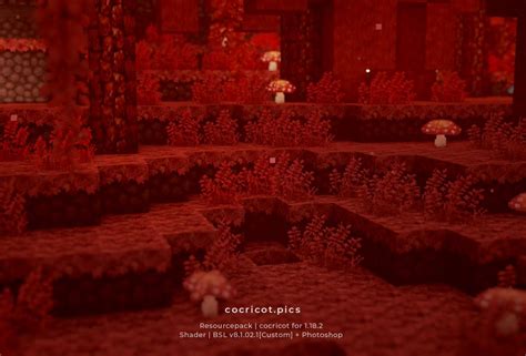 Crimson Forest Biome | Blog | cocricot - Minecraft Textures & Objects