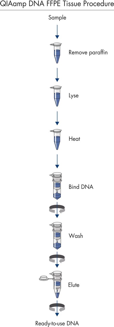 QIAamp DNA FFPE Tissue Kit