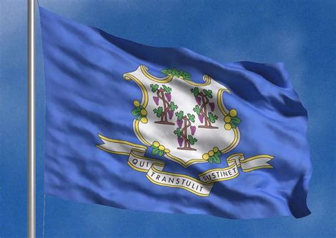 Connecticut State Flags - Nylon & Polyester - 2' x 3' to 5' x 8' | US ...