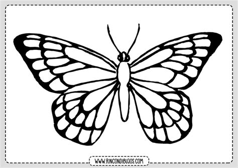 Mariposas Para Pintar. – dibujos de colorear