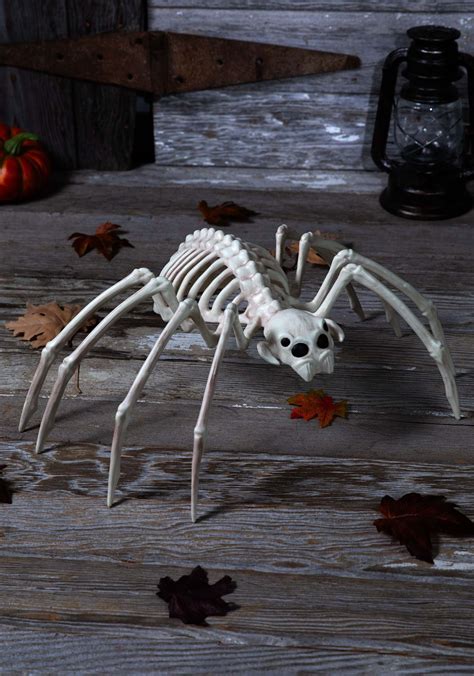 20-Inch Spider Skeleton Halloween Prop | Animal Skeleton Decorations