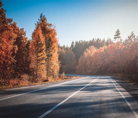 Premium Photo | Country road. autumn.