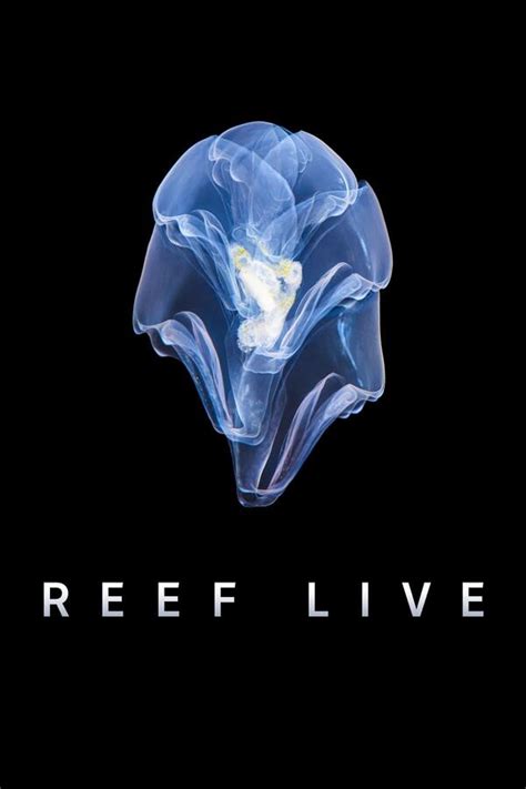 Reef Live - Trakt