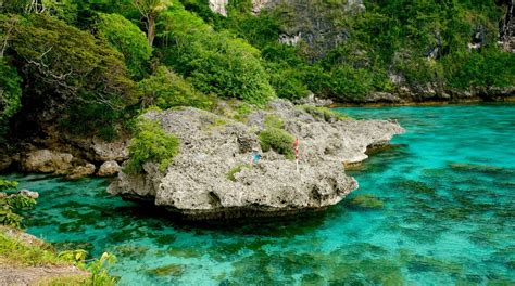 Lifou Travel Guide: Best of Lifou, Loyalty Islands Travel 2024 ...