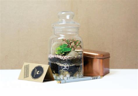 Open Terrarium Workshop