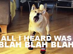 dog Archives - Reaction GIFs