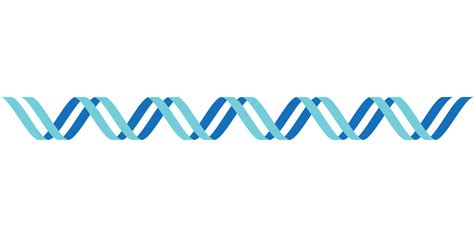 Dna,dna icon,icon,double stranded dna,helix - free image from needpix.com