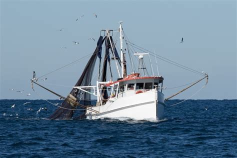 Trawling for insights about the North West shelf - CSIRO