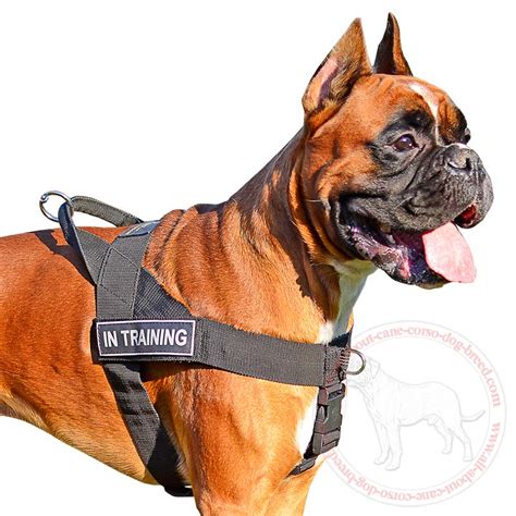 Training Walking | Lightweight Sport Nylon Dog Harness | Boxer Breed