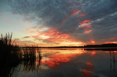 SUNRISE over Old Lake Davenport Davenport,Florida | Places to visit ...