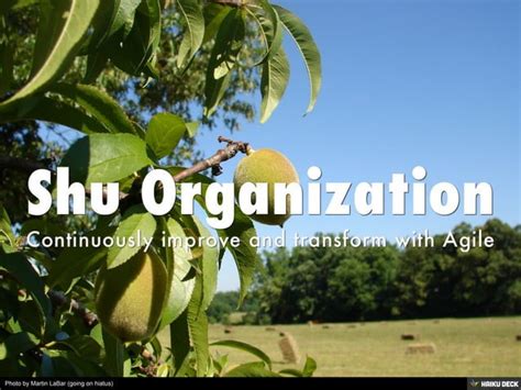 Shu Ha Ri - Three stages of an organization | PPT | Free Download