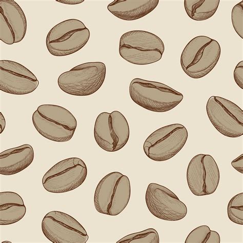 Coffee seamless pattern. Coffee beans hand-drawn sketch. Hot drink coffee background 2011338 ...