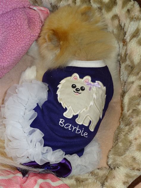 Pin on Barbie the Pomeranian