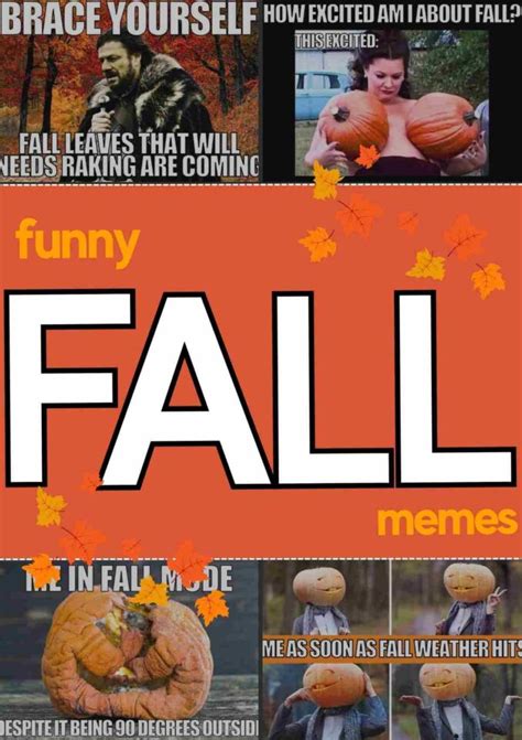 50 Best Fall Memes 2024 To Celebrate The Autumn Season