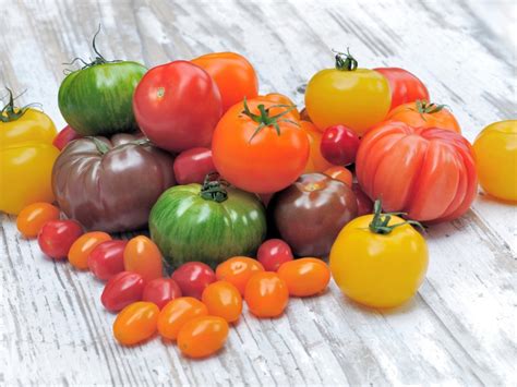 Different Types Of Tomato Varieties For Growing