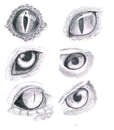 Pin by Yosei Inohara on Eyes | Drawings, Animal drawings, Eye drawing tutorials