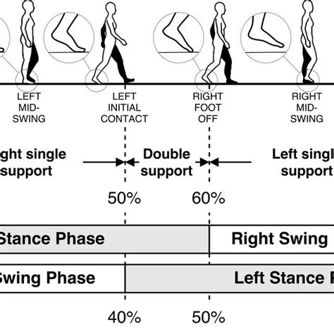 Human gait cycle. Reprinted from "Inertial Sensor-Based Robust Gait... | Download Scientific Diagram