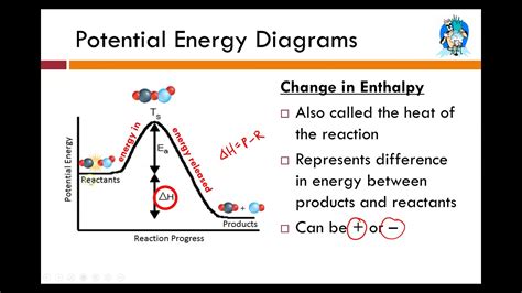 Potential Energy Diagrams