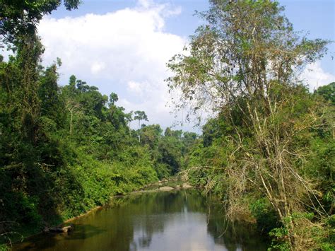 Khaoyai National Park Free Stock Photo - Public Domain Pictures