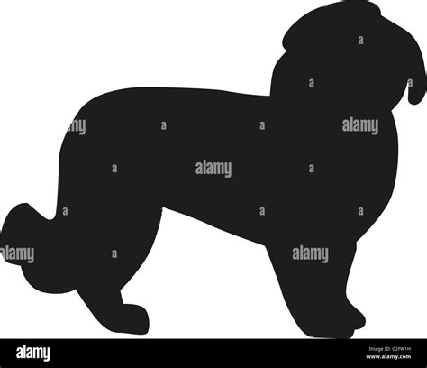 Maltese dog silhouette Stock Photo - Alamy