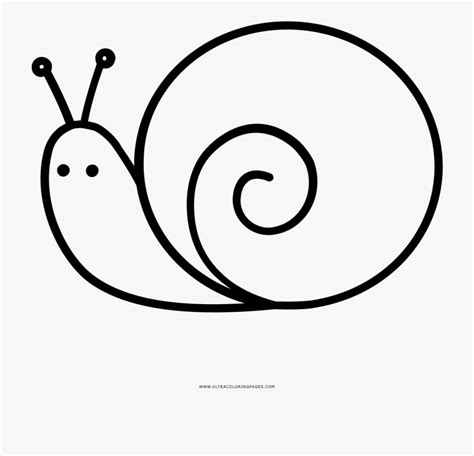 Download High Quality snail clipart black and white Transparent PNG Images - Art Prim clip arts 2019