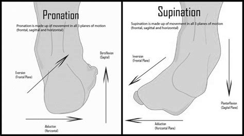 Foot Stability is the Foundation for all your Lifts | Rehab-U BLOG