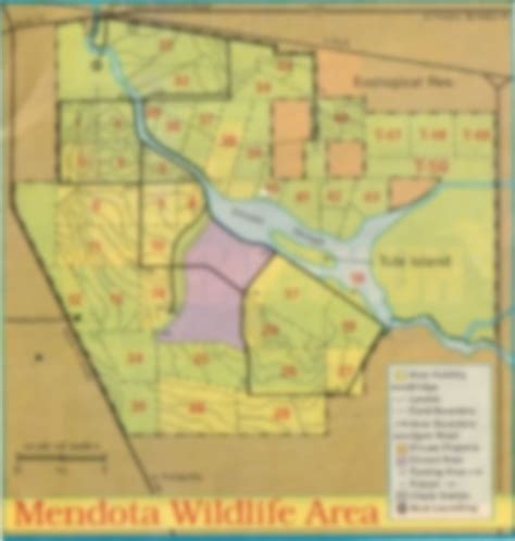 2020 California Duck Hunting, Mendota Refuge, report, Duck Hunting Clubs, Blind leases, how to hunt