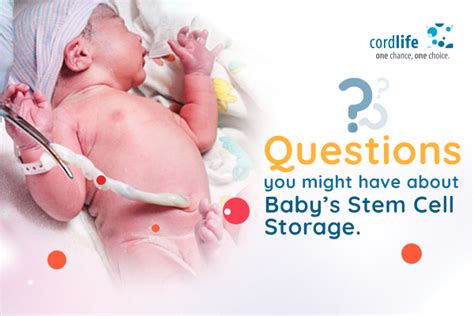 Questions You Might Have About Baby Stem Cell Storage