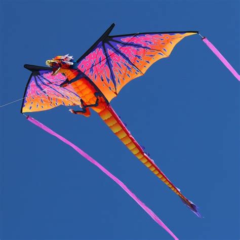 WindNSun Sky Giant Dragon Kite - Buy at Into The Wind Kites - Buy at ...