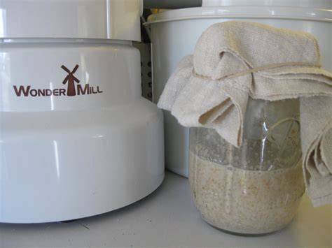 Sourdough Starter: The Easy Button | Grain Mill Wagon