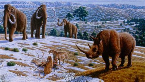 Climate Change Drove Woolly Rhinoceros to Extinction: DNA Study | Genetics, Paleontology | Sci ...