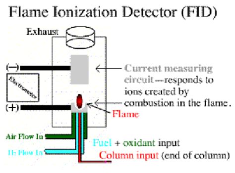 Flame Ionization Detector (FID)