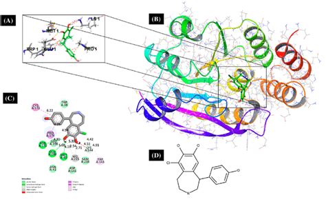 (A) and (B) Binding modes of Fenoldopam with the crystal structure of... | Download Scientific ...