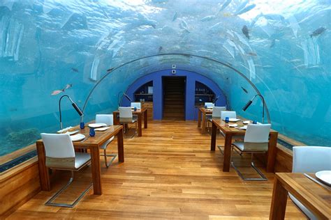 The Conrad Maldives Underwater Restaurant Ithaa Review: Worth It? - UponArriving